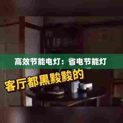 高效节能电灯：省电节能灯 