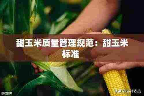 甜玉米质量管理规范:甜玉米标准