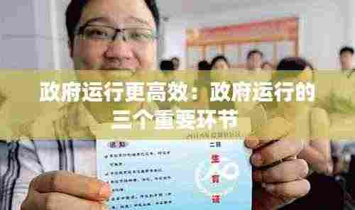 政府运行更高效:政府运行的三个重要环节