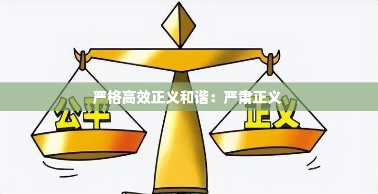 严格高效正义和谐:严肃正义