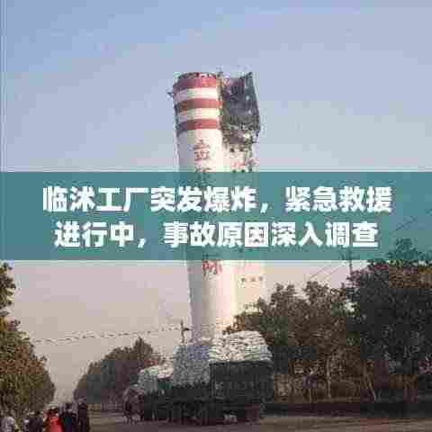 专心致志 第5页