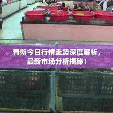 青蟹今日行情走势深度解析，最新市场分析揭秘！