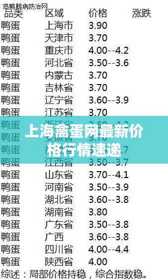 上海禽蛋网最新价格行情速递