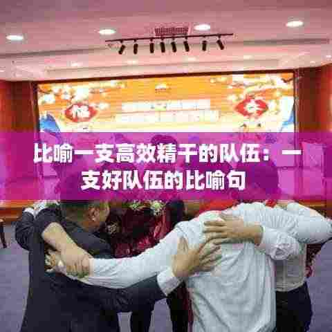 比喻一支高效精干的队伍：一支好队伍的比喻句 