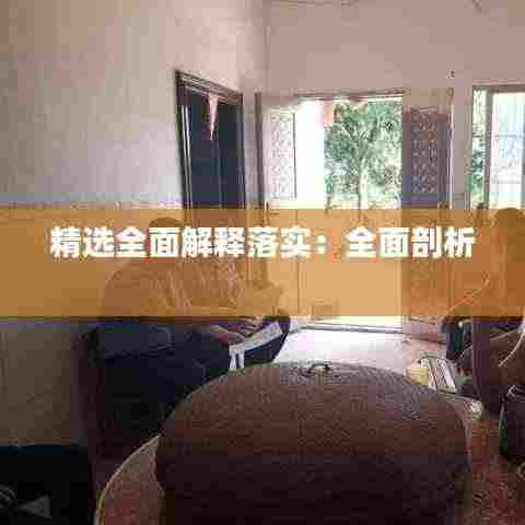 精选全面解释落实：全面剖析 