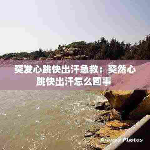 突发心跳快出汗急救:突然心跳快出汗怎么回事