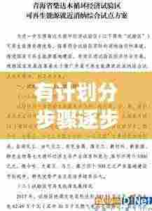 有计划分步骤逐步落实:按照计划落实工作