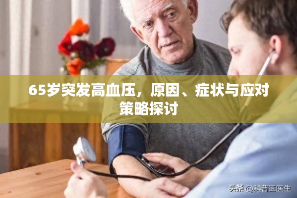 65岁突发高血压,原因、症状与应对策略探讨
