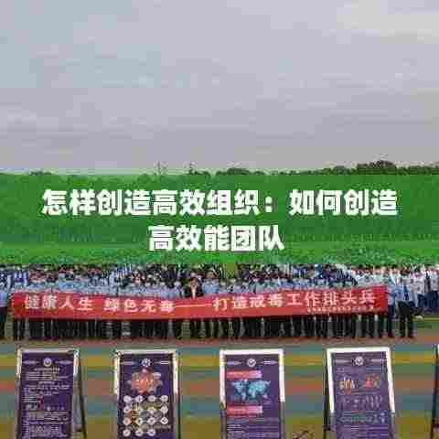 怎样创造高效组织：如何创造高效能团队 