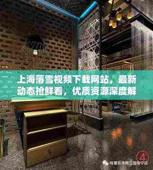 上海落雪视频下载网站,最新动态抢鲜看,优质资源深度解析