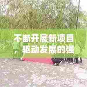 不断开展新项目,驱动发展的强大引擎力量