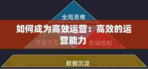 如何成为高效运营:高效的运营能力