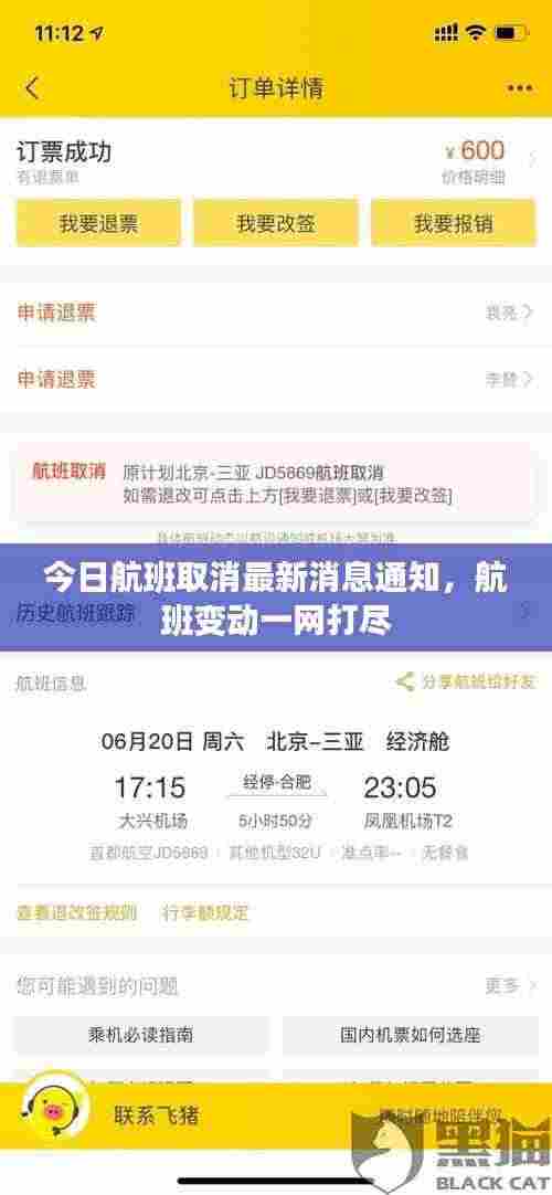 今日航班取消最新消息通知,航班变动一网打尽