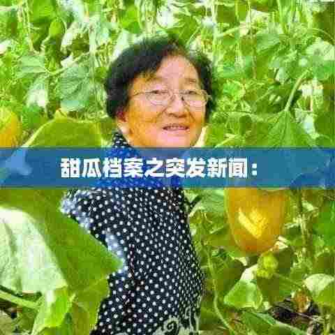 甜瓜档案之突发新闻： 