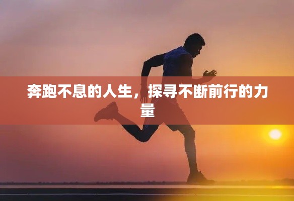 达官显贵 第4页