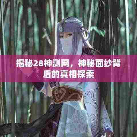 揭秘28神测网,神秘面纱背后的真相探索