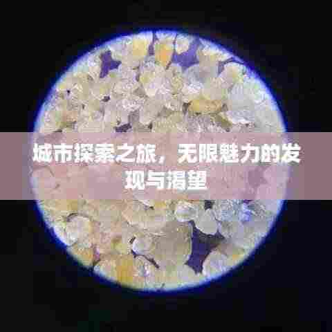 城市探索之旅,无限魅力的发现与渴望