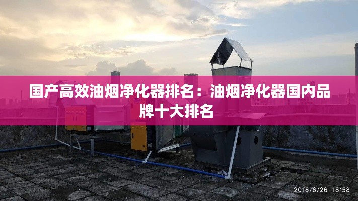 国产高效油烟净化器排名:油烟净化器国内品牌十大排名