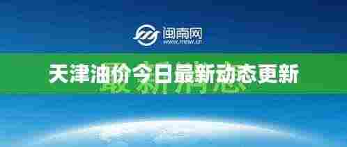 天津油价今日最新动态更新