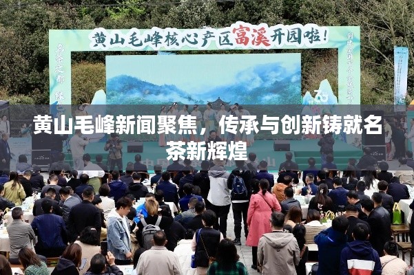 黄山毛峰新闻聚焦,传承与创新铸就名茶新辉煌