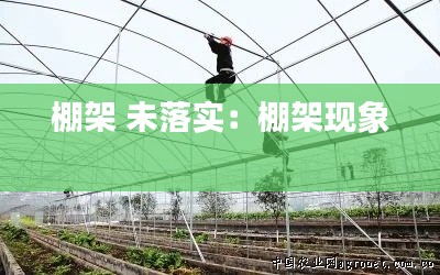 棚架 未落实：棚架现象 