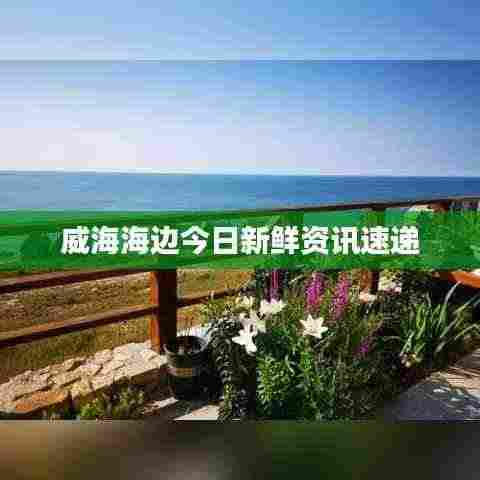 威海海边今日新鲜资讯速递