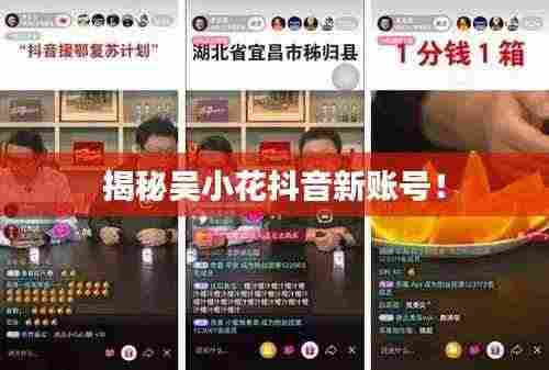 揭秘吴小花抖音新账号!