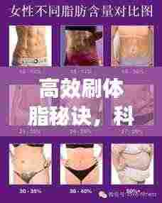 高效刷体脂秘诀，科学减脂，健康塑身之道