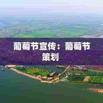 葡萄节宣传：葡萄节策划 