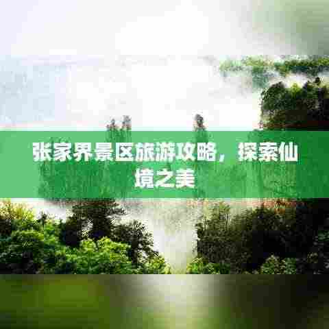 张家界景区旅游攻略,探索仙境之美
