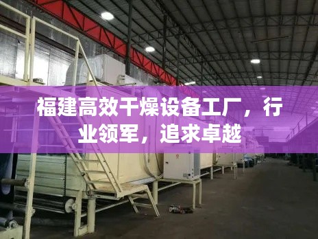 福建高效干燥设备工厂,行业领军,追求卓越
