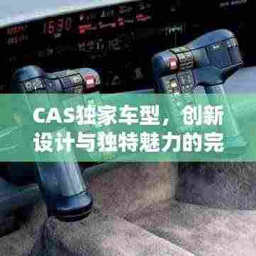 CAS独家车型，创新设计与独特魅力的完美融合