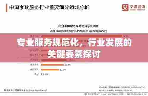 专业服务规范化,行业发展的关键要素探讨
