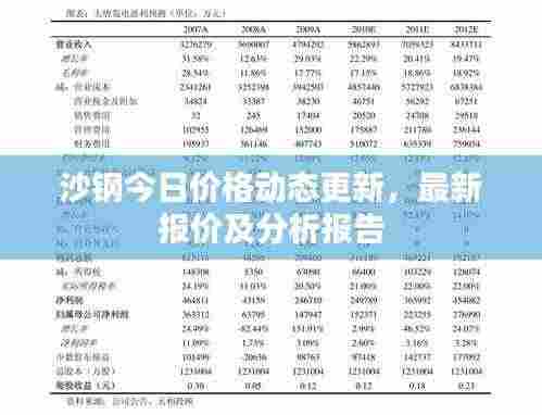沙钢今日价格动态更新,最新报价及分析报告
