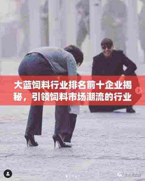 大蓝饲料行业排名前十企业揭秘，引领饲料市场潮流的行业翘楚
