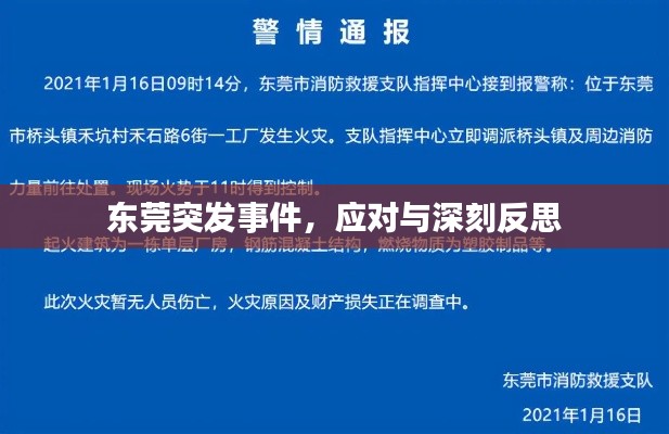 草长莺飞 第3页