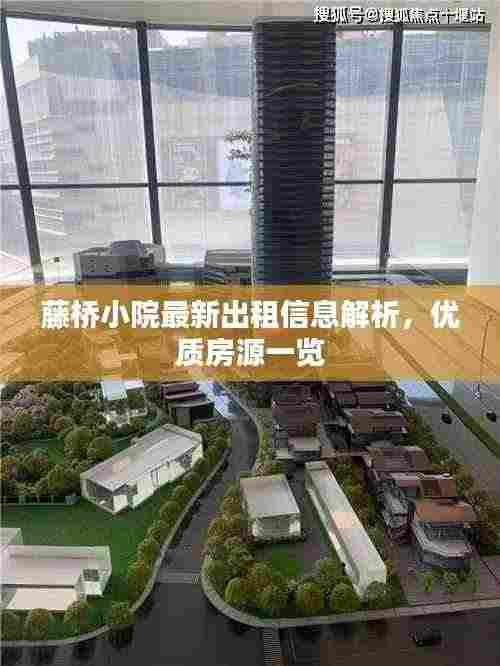 藤桥小院最新出租信息解析,优质房源一览