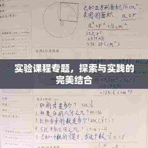 实验课程专题，探索与实践的完美结合