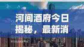 河间酒府今日揭秘,最新消息视频独家呈现!
