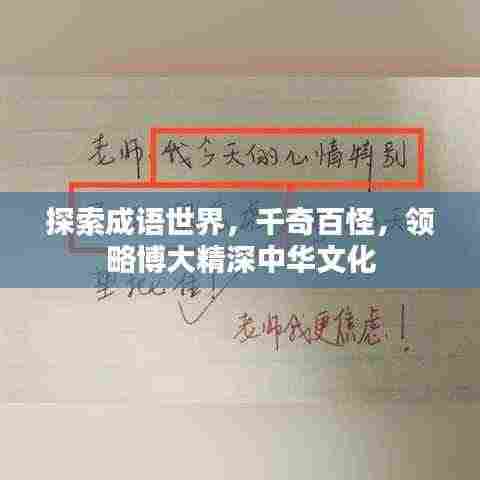 探索成语世界,千奇百怪,领略博大精深中华文化