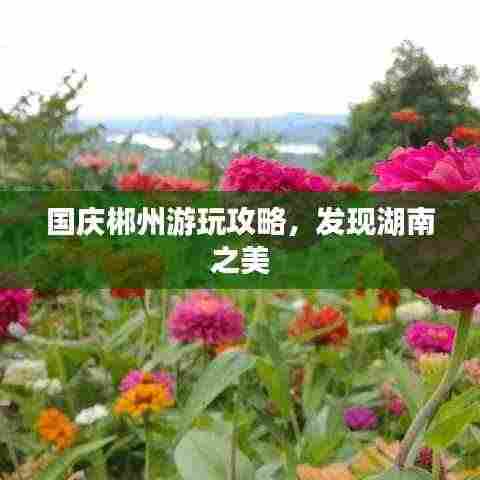 国庆郴州游玩攻略,发现湖南之美