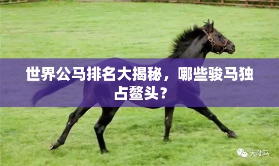 世界公马排名大揭秘,哪些骏马独占鳌头?