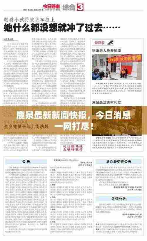 鹿泉最新新闻快报，今日消息一网打尽！