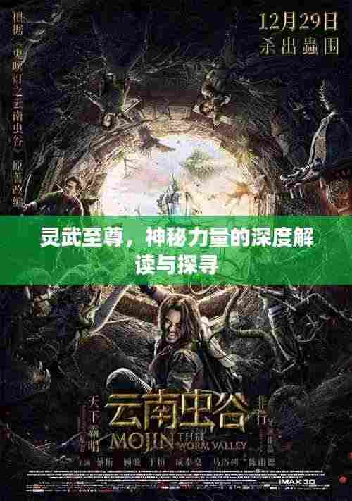 灵武至尊，神秘力量的深度解读与探寻