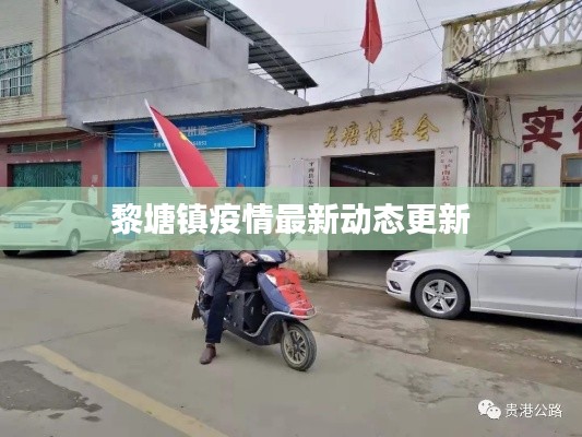 黎塘镇疫情最新动态更新
