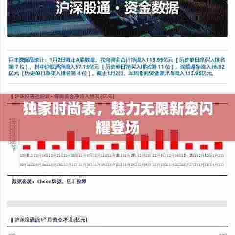 独家时尚表,魅力无限新宠闪耀登场