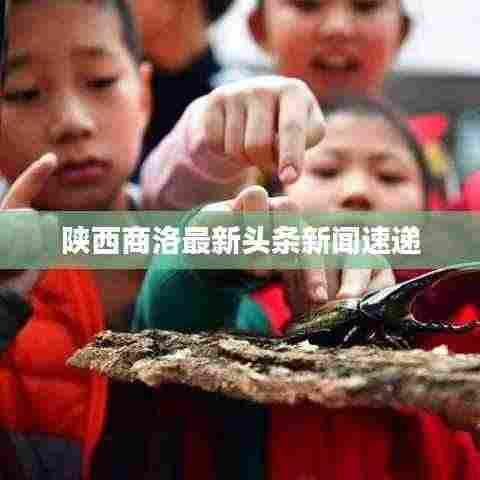 陕西商洛最新头条新闻速递