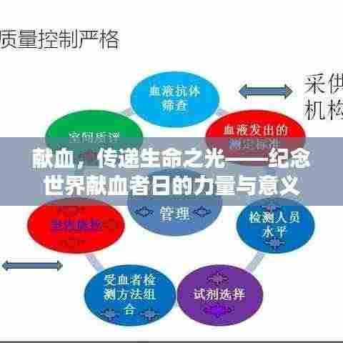 献血,传递生命之光——纪念世界献血者日的力量与意义