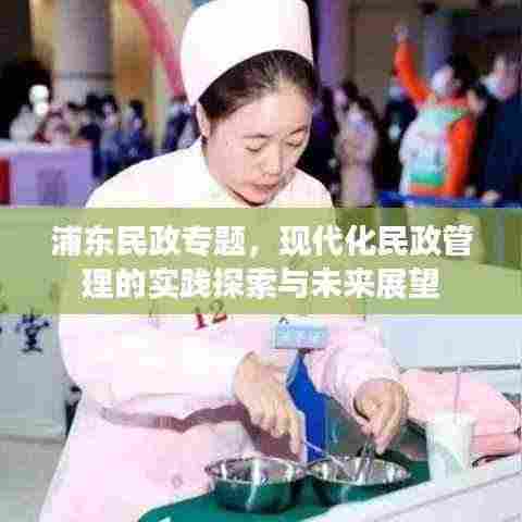 浦东民政专题，现代化民政管理的实践探索与未来展望