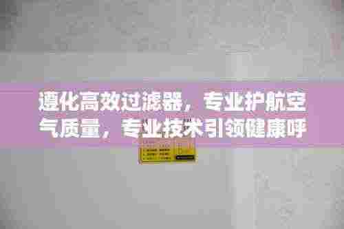 遵化高效过滤器，专业护航空气质量，专业技术引领健康呼吸